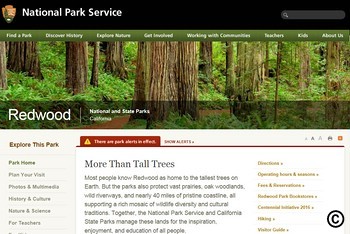 Red Wood National und State Park in Kalifornien